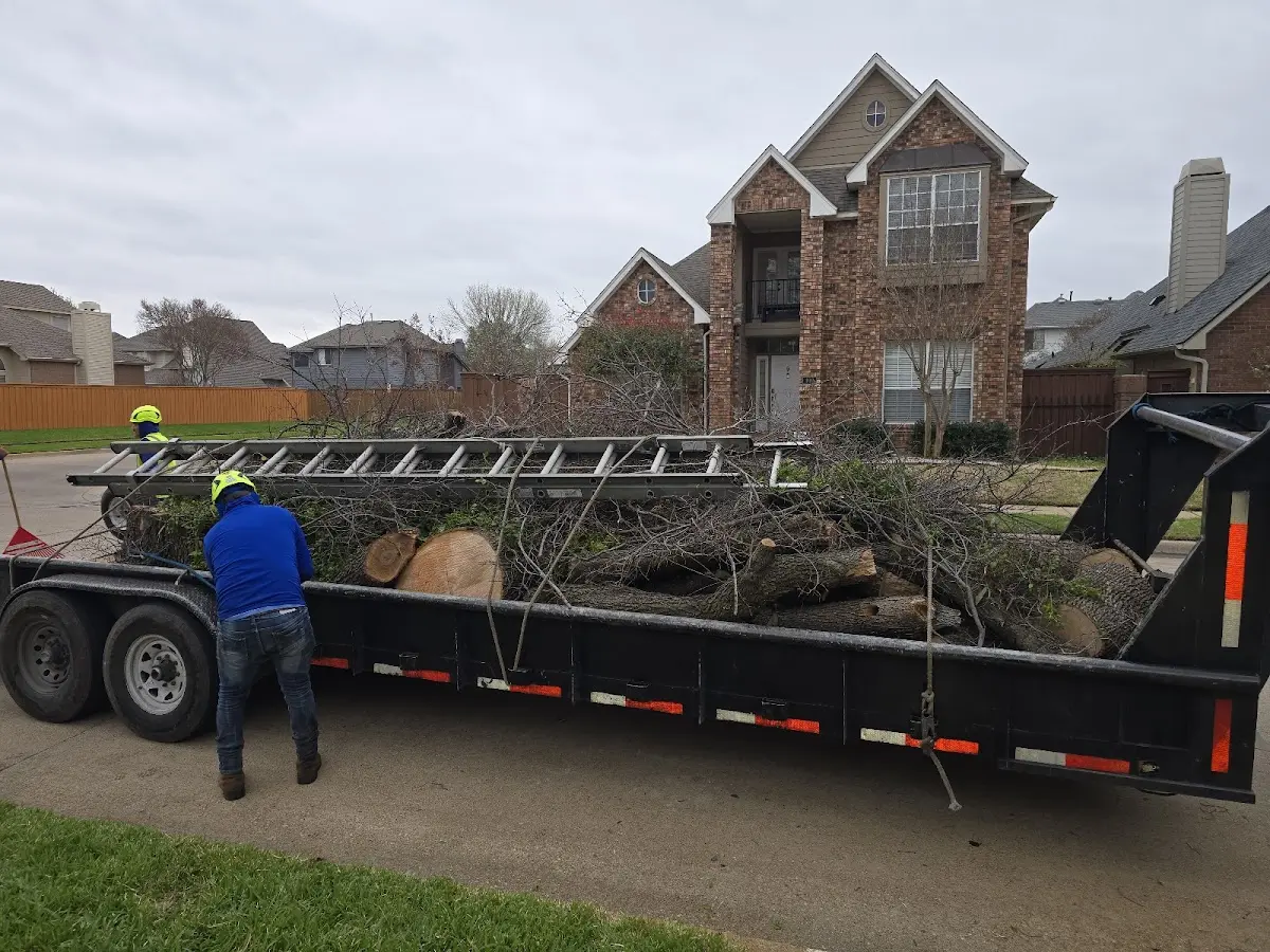 Expert Tree Pest Control with proper safety equipment in Hamburg